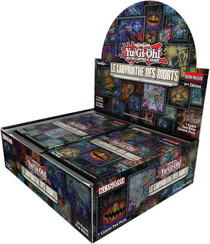 Display The Labyrinth of the Dead - FR