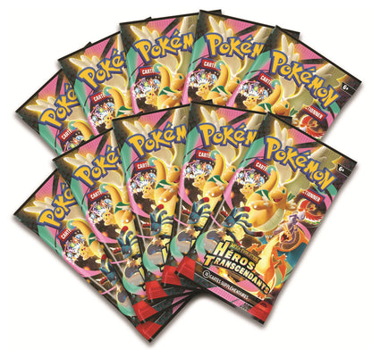 Collection Poster Premium ME2.5 Méga-Lucario - FR