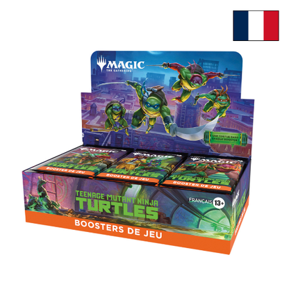 Display Teenage Mutant Ninja Turtles - FR