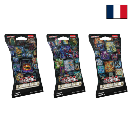 Blister Le Labyrinthe Des Morts - FR