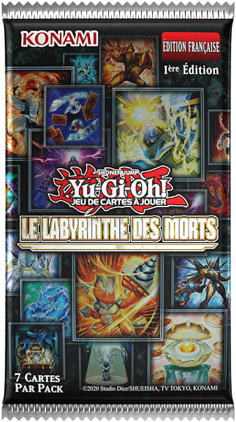 Display The Labyrinth of the Dead - FR