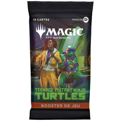 Display Teenage Mutant Ninja Turtles - FR